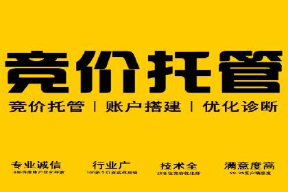 探索百度竞价托管公司的成功之路